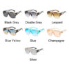 Luxury Oversized Sunglasses - Image 6